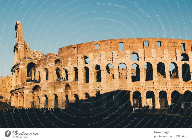 Colosseo Kultur Landschaft Stadt Hauptstadt Stadtzentrum Altstadt Ruine Bauwerk Architektur Sehenswürdigkeit Wahrzeichen alt Kolosseum Rom Italien Italienisch
