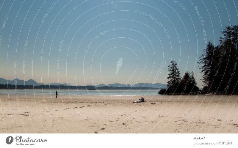 Strandläufer Sommer Sommerurlaub Sonne Meer Küste Erholung genießen Ferne frei Unendlichkeit hell Wärme Horizont Natur Kanada Tofino Long Beach Vancouver Island