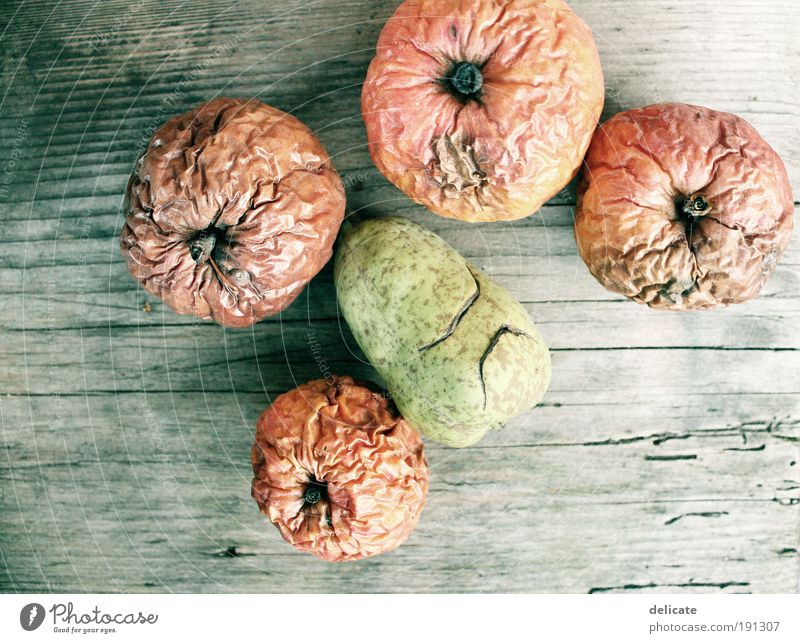 Vintage apples (and pear) Frucht Apfel Natur Herbst alt liegen hässlich schön trocken braun gelb grün rot Farbfoto Außenaufnahme Nahaufnahme Menschenleer