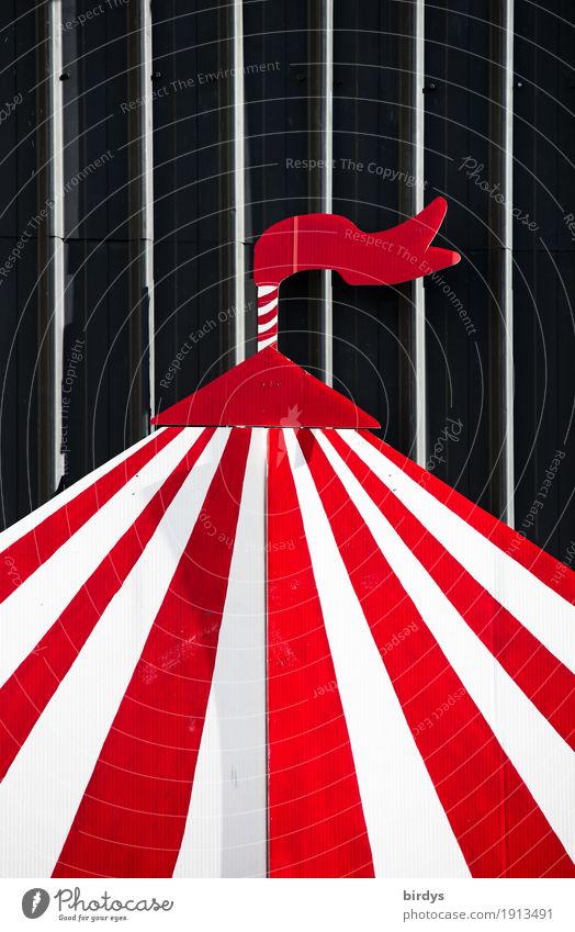 Zirkuswelt Häusliches Leben Kunst Kultur Veranstaltung Show Open Air Zirkuszelt Dach Linie Streifen ästhetisch Freundlichkeit lustig positiv rot schwarz weiß