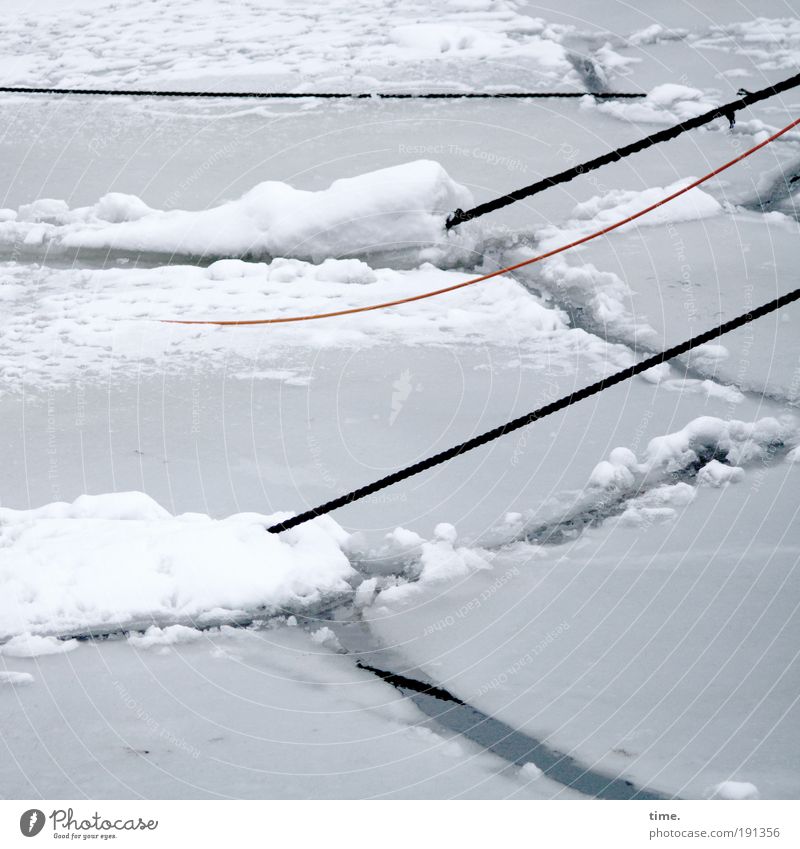 Eis am Strick Winter Seil Wasser Frost Hafen kalt grau weiß Eisscholle Anleger Schnee Bruchstelle diagonal gefroren bewegungslos Binnenhafen Museumshafen