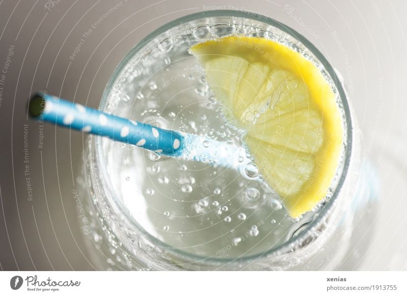 Glas mit Mineralwasser, Zitronenscheibe und blauem Strohhalm Trinkwasser Getränk trinken Trinkhalm Gesundheit Leben Wasser gelb grau weiß sprudelnd Durstlöscher