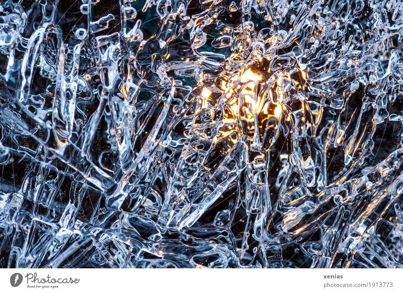 Eingefroren, gelbes Licht hinter Eisplatte Sonne Winter Frost Wasser frieren kalt blau weiß Luftblase Beleuchtung Außenaufnahme Detailaufnahme Schnee