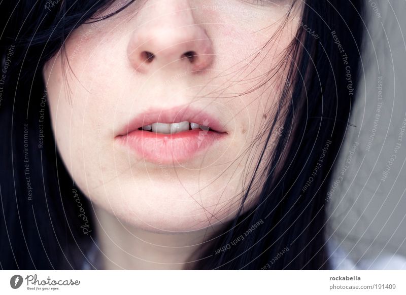Detailaufnahme Mund Frau schön Haut Gesicht Gesundheit Leben Wohlgefühl Zufriedenheit Sinnesorgane Erholung ruhig Meditation Duft Kur Spa Valentinstag feminin