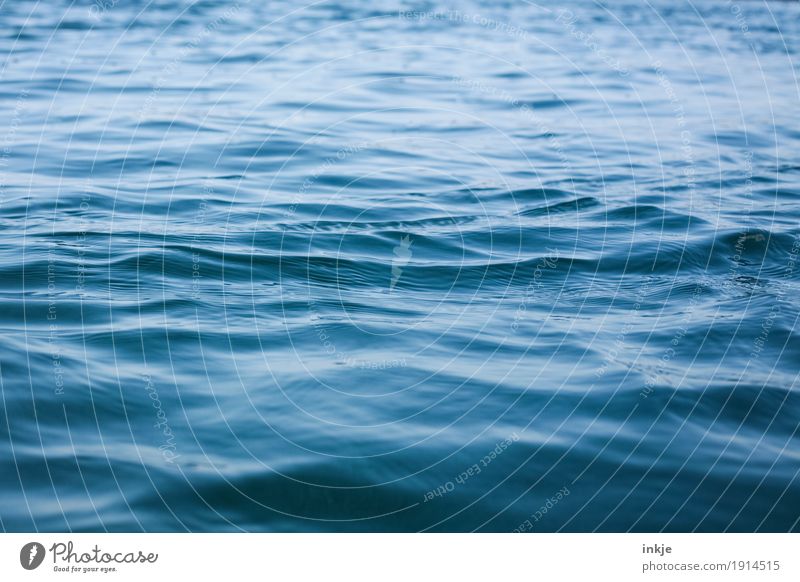 le grand bleu Wasser Wellen Nordsee Meer Wasseroberfläche blau Meerestiefe Glätte Meeresstimmung Oberflächenstruktur Farbfoto Außenaufnahme Nahaufnahme