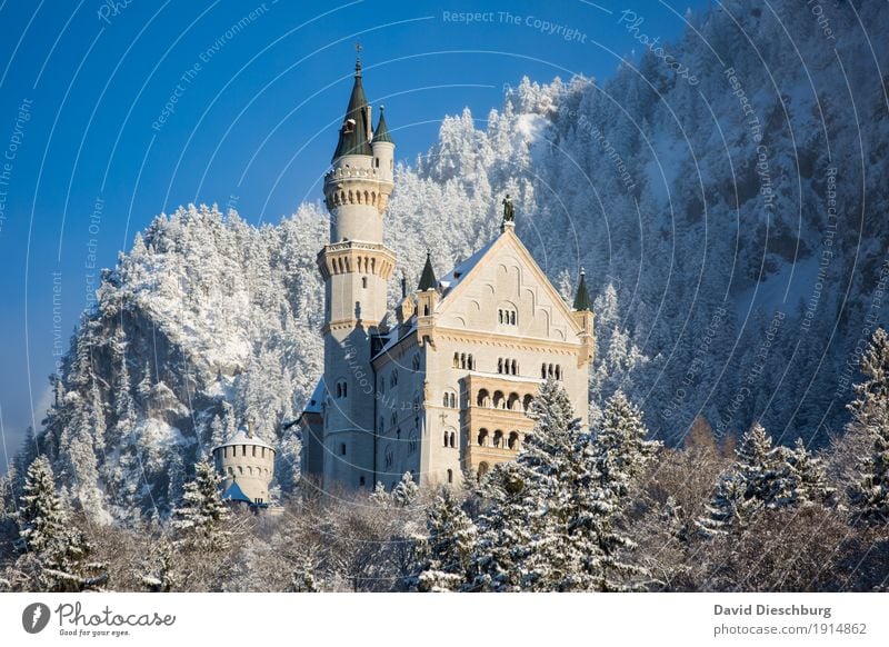 Schloss Neuschwanstein Ferien & Urlaub & Reisen Tourismus Ausflug Sightseeing Winter Schnee Winterurlaub Berge u. Gebirge Natur Landschaft Wolkenloser Himmel