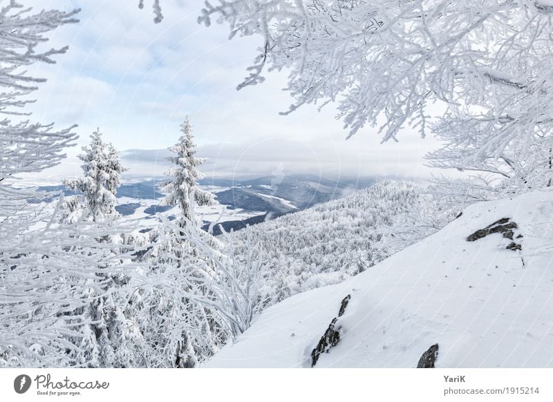 Winter im bayr. Wald Natur Landschaft Klima Wetter Eis Frost Schnee Baum Sträucher Berge u. Gebirge Gipfel Schneebedeckte Gipfel kalt weiß Aussicht eng Bayern