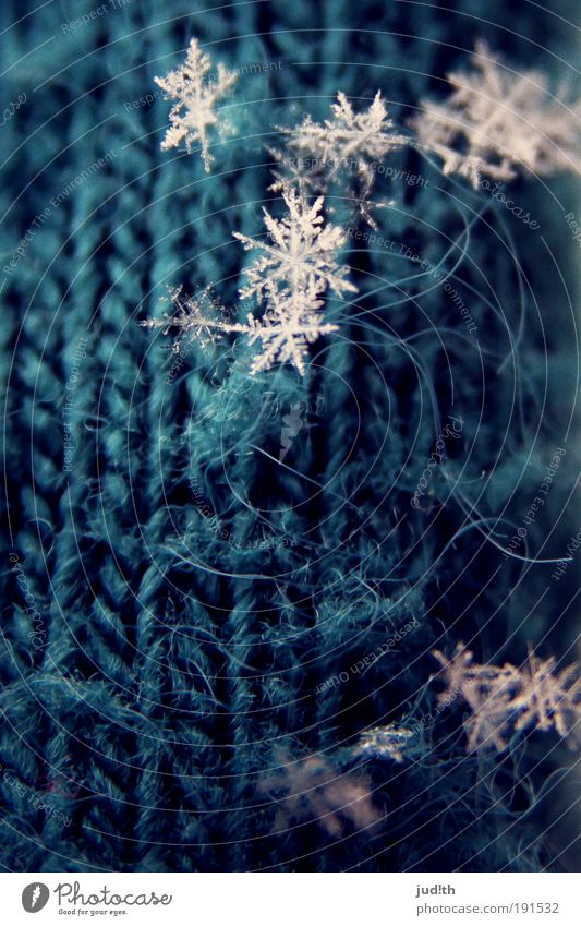 snowflakes Winter Schnee Eis Frost Schneefall blau weiß kalt Natur Eiskristall Schneekristall Schneeflocke Stern (Symbol) Strickmuster Wolle Handschuhe Farbfoto