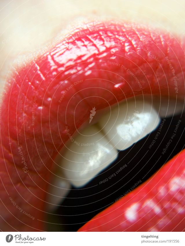 rouge schön Haut Kosmetik Lippenstift feminin Mund Zähne glänzend nah weich rot weiß Hautfalten Farbfoto Innenaufnahme Textfreiraum oben Reflexion & Spiegelung