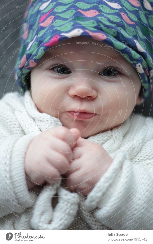 Uiiii feminin Baby Kindheit 1 Mensch 0-12 Monate Strickjacke Kopftuch liegen Blick niedlich blau grün Vorfreude Hoffnung rein Lächeln Faust Farbfoto