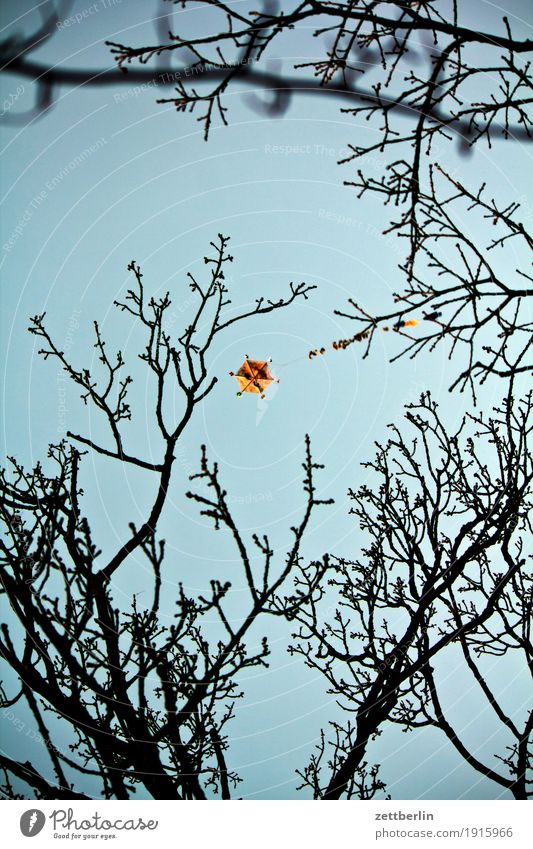 Drachen (steigend) Lenkdrachen Drachenfliegen Herbst Wind Sturm Himmel Baum Ast zwei Spielen Kinderspiel Spielzeug Wolken Wolkendecke Textfreiraum Tiefenschärfe