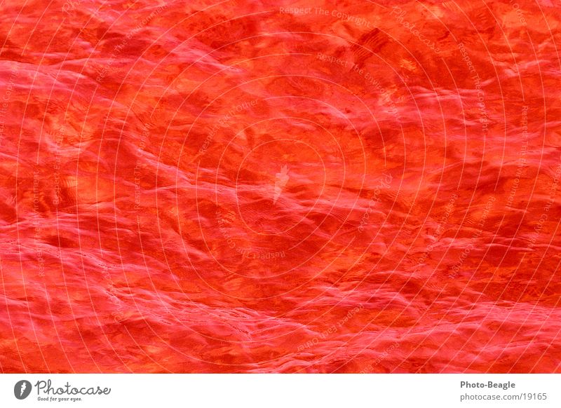 Rätselbild für Marko rot glänzend Strukturen & Formen Fototechnik rot leuchtend Glibber Glätte