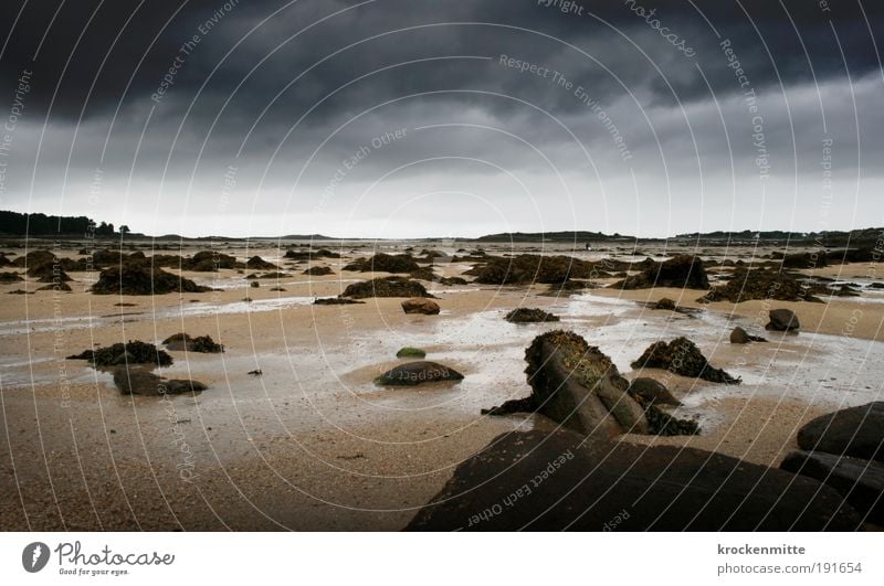 forbidden planet Landschaft Sand Himmel Wolken Gewitterwolken Horizont Klima Wetter schlechtes Wetter Moos Küste Strand bedrohlich Frankreich Bretagne Ebbe Flut