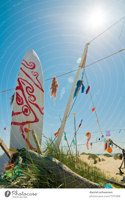 California dreaming Ferien & Urlaub & Reisen Tourismus Sommer Sommerurlaub Sonne Sonnenbad Strand Meer Insel skurril Surfen Surfbrett Licht Schatten Sonnenlicht