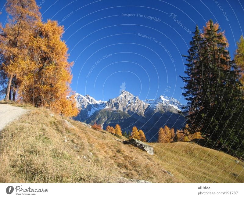 Bergherbst 03 Umwelt Natur Landschaft Herbst Schönes Wetter Baum Alpen Berge u. Gebirge Erholung positiv Sauberkeit schön blau braun gelb ästhetisch