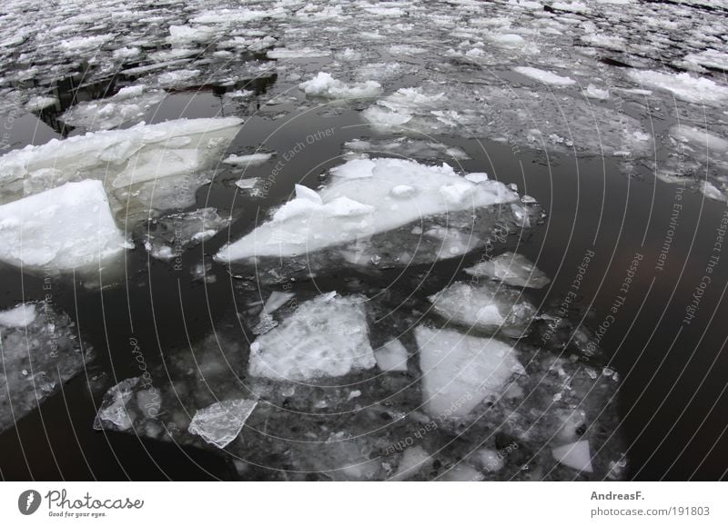 Eis Winter Umwelt Natur Landschaft Wasser Klima Klimawandel Schnee Fluss kalt Eisscholle Spree Arktis Arktikum Frost Fischauge Im Wasser treiben Eisbrecher