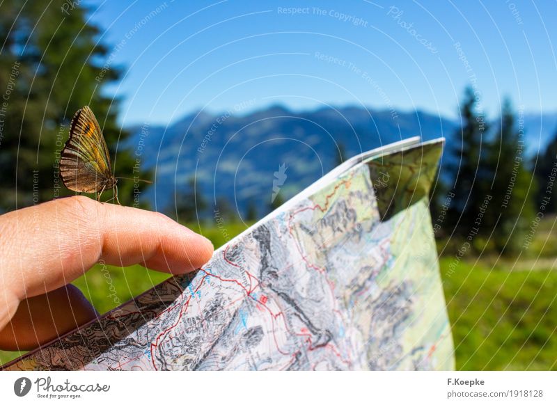 Natur entdecken II Hand Zufriedenheit Lebensfreude Stimmung Schmetterling Spielkarte Tier Sommer Alpen Berge u. Gebirge wandern Wildtier fliegen mehrfarbig