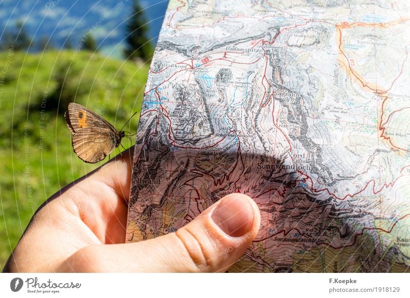 Natur entdecken Hand 1 Mensch Zeitung Zeitschrift lesen Tier Sommer Alpen Berge u. Gebirge Schmetterling Wildtier fliegen wandern Glück Fröhlichkeit