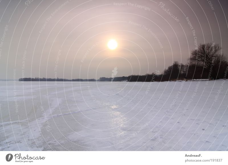 noch ein Winterbild Umwelt Natur Landschaft Wasser Himmel Sonne Sonnenaufgang Sonnenuntergang Sonnenlicht Eis Frost Baum Seeufer kalt Eisfläche gefroren