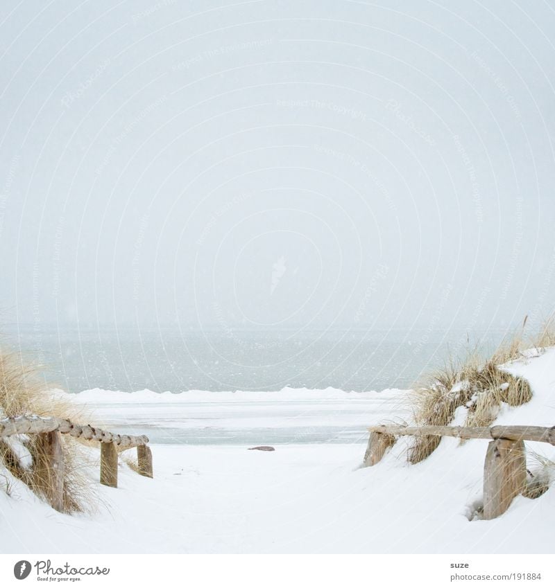 Schneeweiß ruhig Winterurlaub Umwelt Natur Landschaft Himmel Wolkenloser Himmel Horizont Klima Wetter Eis Frost Küste Strand Ostsee Meer Wege & Pfade