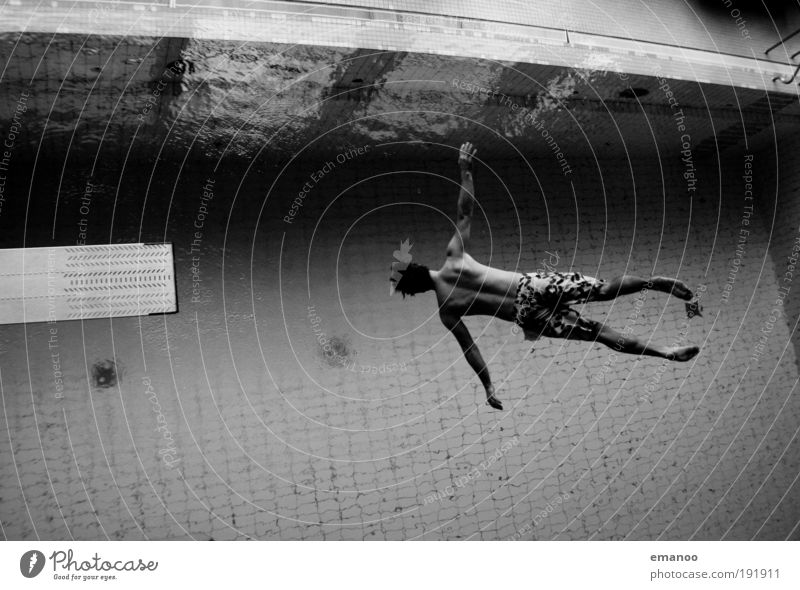 freifall Schwimmen & Baden Sport Wassersport Schwimmbad maskulin Körper 1 Mensch 18-30 Jahre Jugendliche Erwachsene drehen fliegen springen ästhetisch sportlich