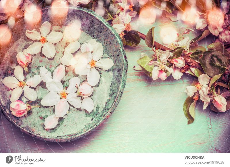 Wasserschale mit Frühlingsblüten Stil Design Wellness Erholung Spa Dekoration & Verzierung Natur Pflanze Blatt Blüte Blühend rosa aromatisch schick