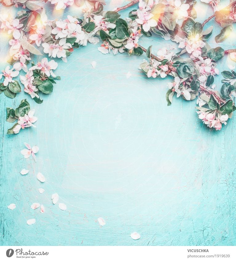 Frühling Natur Hintergrund mit schönen Blüten elegant Stil Design Dekoration & Verzierung Feste & Feiern Muttertag Ostern Pflanze Blume Blatt Blühend Liebe rosa