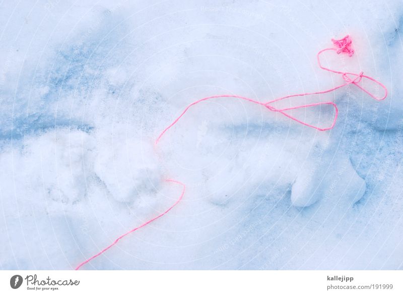 wenn der winter den faden verliert Winter Schnee Eis Frost Zeichen Schnur Knoten Schleife Netz entdecken ariadne Leitfaden finden Orientierung Wolle Farbfoto