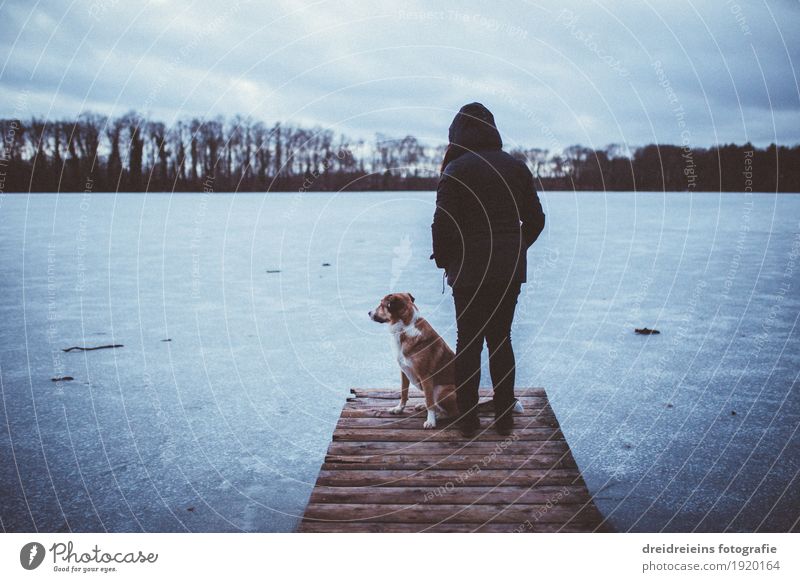 Winterimpressionen. Mensch Natur Landschaft Wasser Horizont Nebel Eis Frost Seeufer Tier Hund Blick stehen warten Zusammensein kalt Geborgenheit Einigkeit loyal