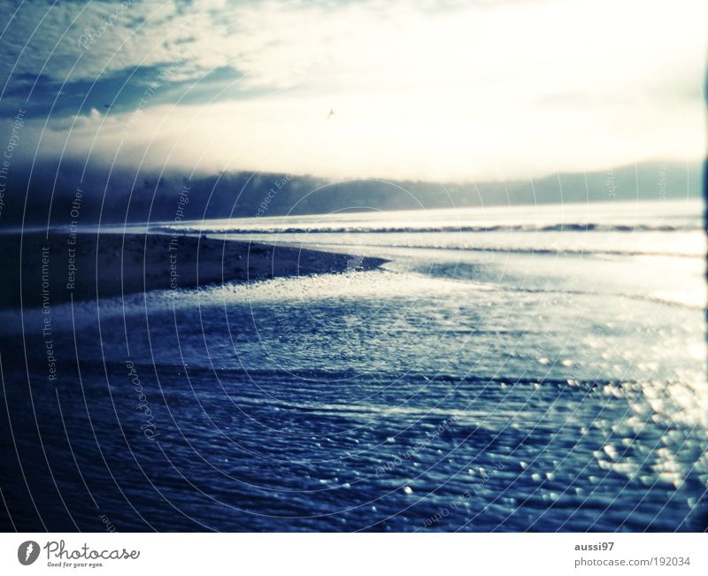 99 mile Beach Strand Dämmerung Melancholie traurig Neuseeland verschwommen Gegenlicht Liquid