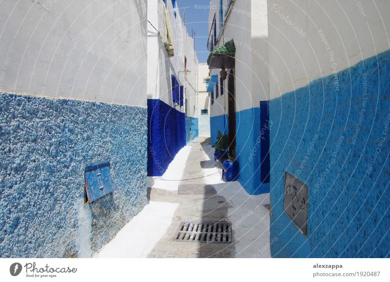 Rabat Gassen Stadt Gebäude Straße blau weiß Marokko Medina kompliziert Außenaufnahme Tag Weitwinkel eng blau-weiß Altstadt niedlich ruhig verwinkelt
