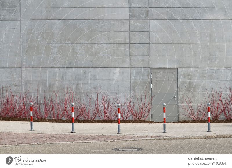 Frühling !!! Sträucher Fassade Tür Verkehrswege Straße Beton grau rot Menschenleer Textfreiraum oben