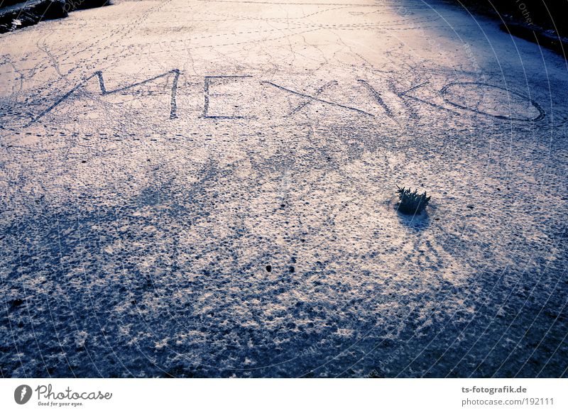Les Humphries on Ice? Spielen Ferne Kreuzfahrt Winter Schnee Winterurlaub Eis Frost Fußspur Eisfläche Mexico City Südamerika Fährte Fernweh kalt laufen zeichnen
