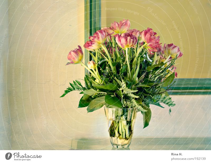 Guten Morgen Frühling ! elegant Stil Innenarchitektur Dekoration & Verzierung Tulpe leuchten gelb grün rot Glück Lebensfreude Frühlingsgefühle Vorfreude