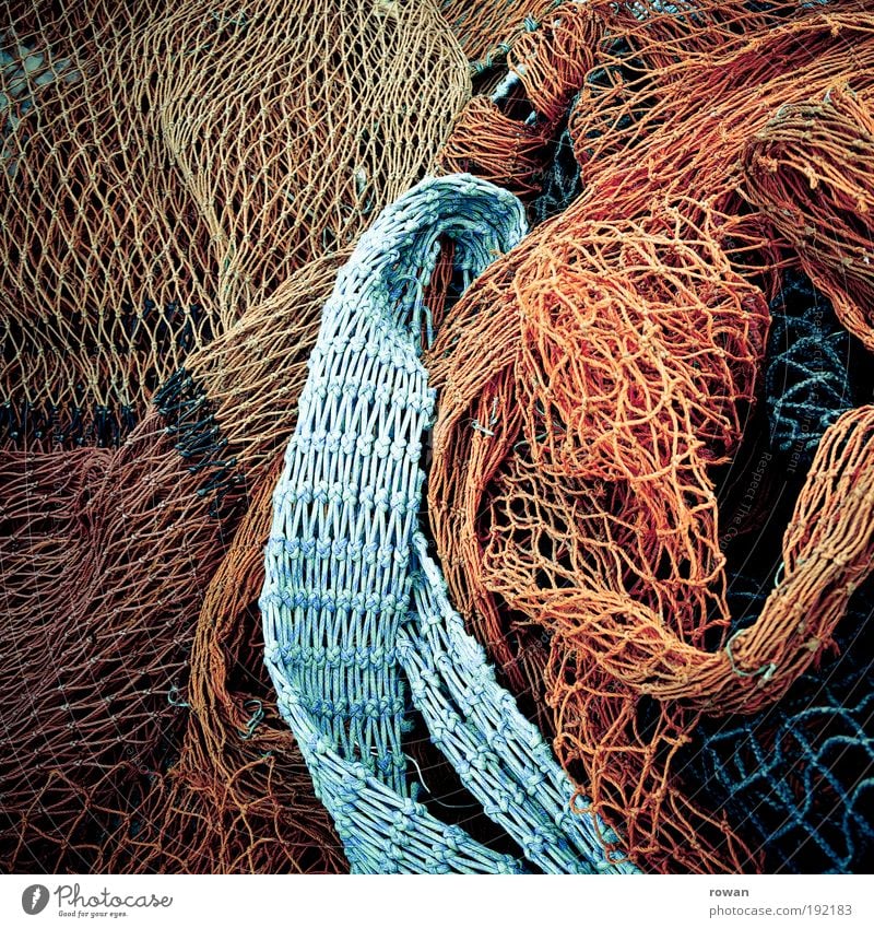 Netze Küste nass blau mehrfarbig rot Netzwerk chaotisch Knoten Knotenpunkt Vernetzung Linie Angeln Fischereiwirtschaft Hafen Meer maritim fangen Fischernetz