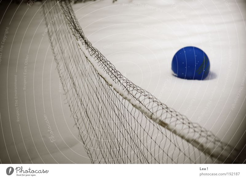 die Erinnerung an den Sommer Ballsport Winter Schnee frieren kalt Hoffnung Farbfoto Außenaufnahme Tag
