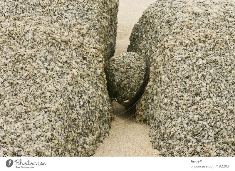 Steine und Fantasie Strand Meer Frankreich Bretagne Natur Sand Küste Kugel skurril skulptural ästhetisch lustig nass verrückt grau Überraschung Inspiration