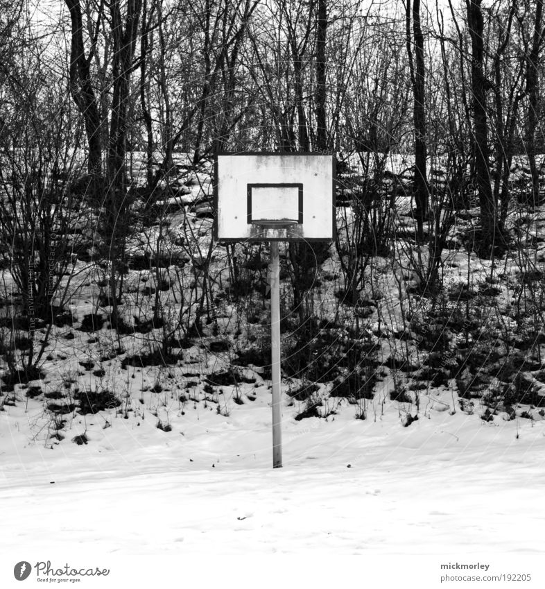 Basketball Desaster Freizeit & Hobby Freiheit Winter Schnee Ballsport Umwelt Wiese Wald Spielen außergewöhnlich Coolness dreckig frisch trashig Freude Euphorie