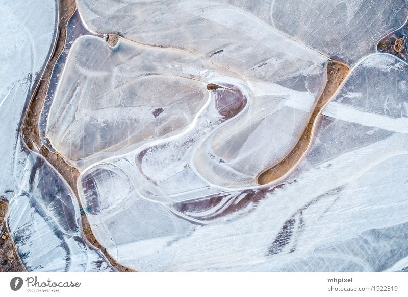 Vereist Winter Natur Eis Frost Gefühle Eisschicht Farbfoto Außenaufnahme Nahaufnahme Detailaufnahme Experiment abstrakt Muster Strukturen & Formen Tag Kontrast