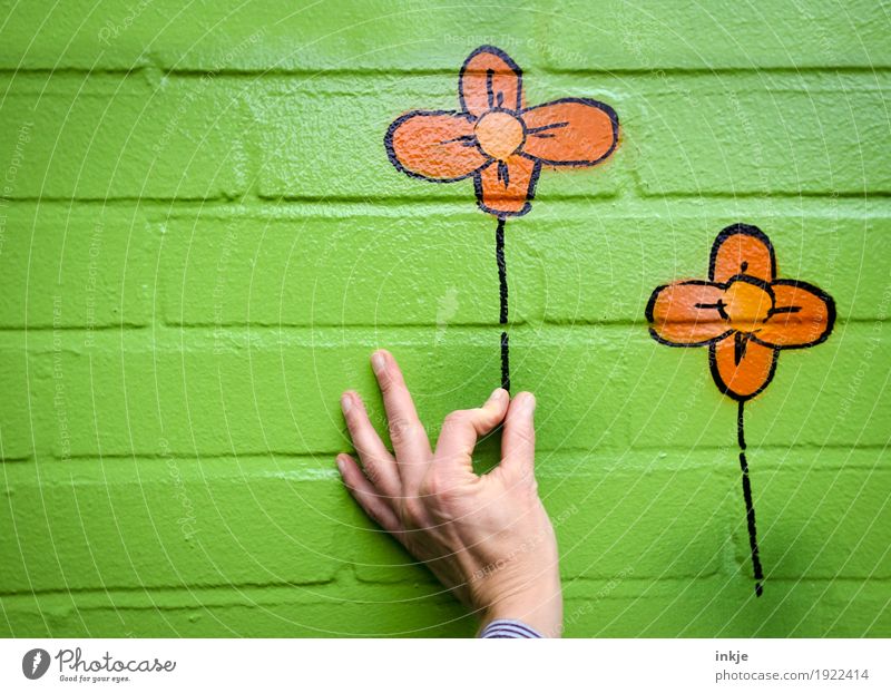 Blumenpflücken || Freude Freizeit & Hobby Hand Mauer Wand Fassade Stein Graffiti festhalten lustig grün orange Glück Frühlingsgefühle Verliebtheit Romantik