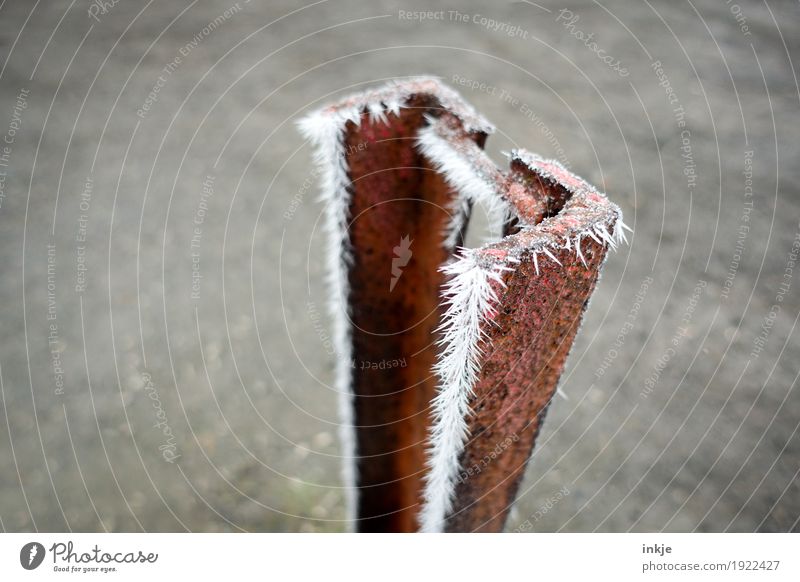 Frost auf Rost | prima Klima Winter Eis Metall Eiskristall kalt Spitze stachelig gefroren Farbfoto Außenaufnahme Nahaufnahme Menschenleer Textfreiraum links