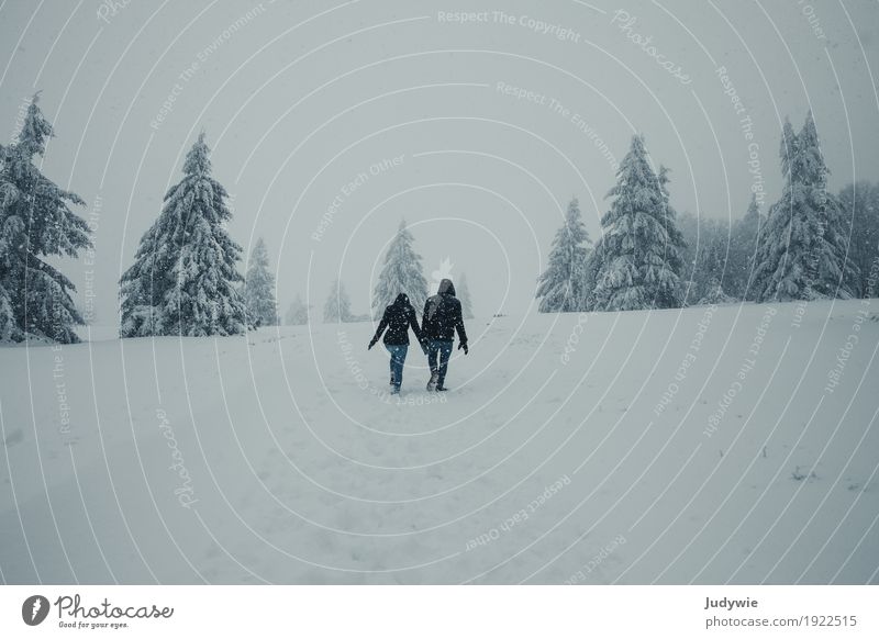 Unterwegs in Narnia Winter Schnee Winterurlaub Mensch maskulin feminin Freundschaft Paar Partner Umwelt Natur Klima Eis Frost Schneefall Wald Hügel festhalten