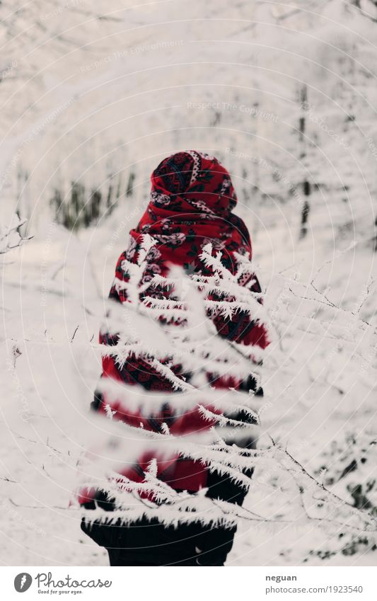 Winter Mensch Mädchen Körper 1 Umwelt Natur Pflanze Schönes Wetter Eis Frost Schnee Mode Bekleidung Ornament Traurigkeit exotisch fantastisch gruselig