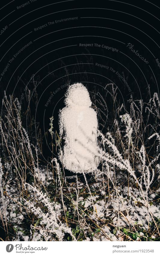 ohne Titel Mensch Frau Erwachsene Kunst Skulptur Musik Umwelt Natur Winter Eis Frost weiß Angst Entsetzen gefährlich Abenteuer Endzeitstimmung kalt