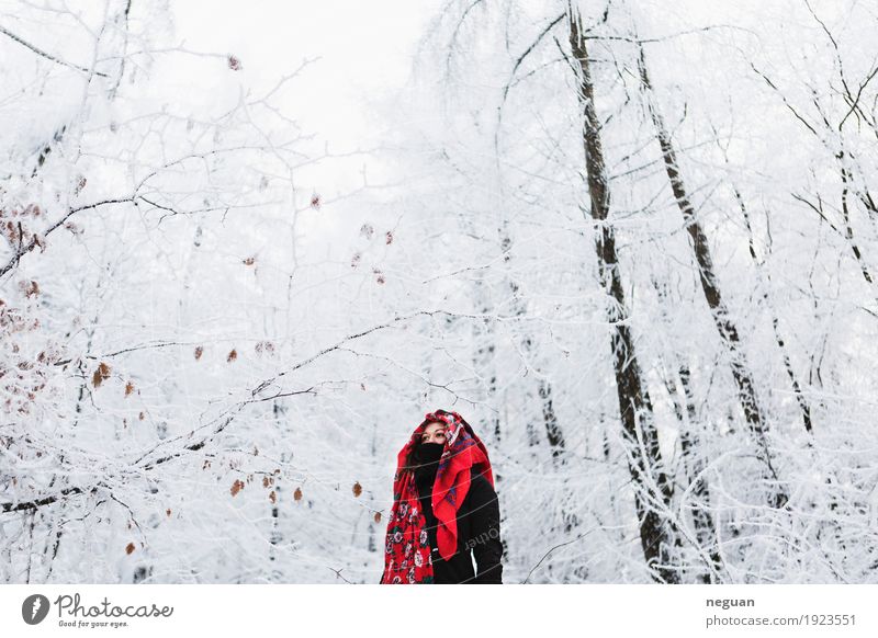 in den Winter Lifestyle Stil exotisch Ferien & Urlaub & Reisen Schnee Mensch Frau Erwachsene Körper Gesicht Kultur Kino Natur Pflanze Wetter Eis Frost Baum Mode