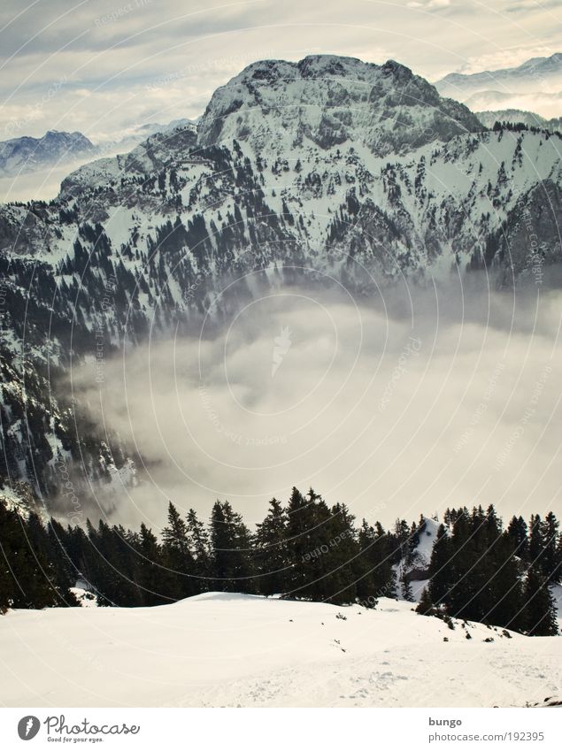 Downhill Ferien & Urlaub & Reisen Winter Schnee wandern Natur Landschaft Himmel Wolken Nebel Baum Felsen Alpen Berge u. Gebirge Gipfel Erholung ästhetisch