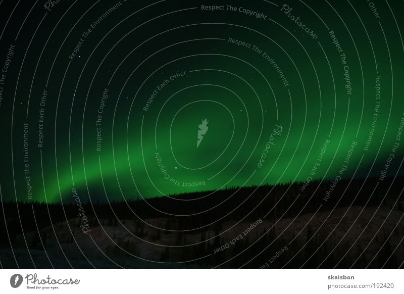 i can see the lights Natur Landschaft Himmel Stern Kanada ästhetisch Bewegung Nordlicht Polarkreis Polarnacht grün Norden einzigartig Erfahrung Wind
