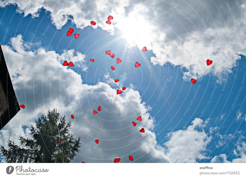 HAPPY BIRTHDAY Himmel Wolken Schönes Wetter Freude Liebe Feste & Feiern Luftballon Farbfoto Außenaufnahme