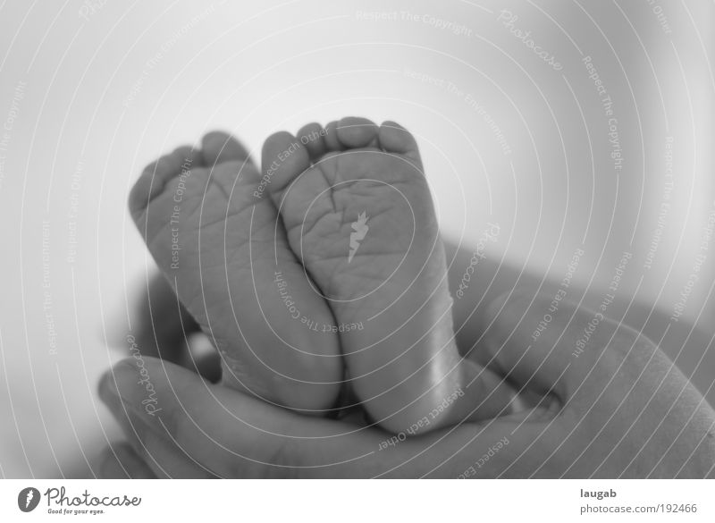 Babyfüße Mensch Kleinkind Eltern Erwachsene Familie & Verwandtschaft Hand Beine Fuß entdecken liegen Blick Fröhlichkeit Glück klein niedlich positiv Sauberkeit