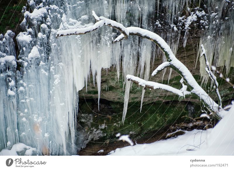Dezente Winterdeko ruhig Winterurlaub Umwelt Natur Klima Klimawandel Eis Frost Schnee Felsen einzigartig entdecken kalt Leben schön stagnierend träumen